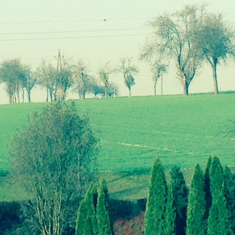 Blick aus dem Fenster der Heilstättenschule2